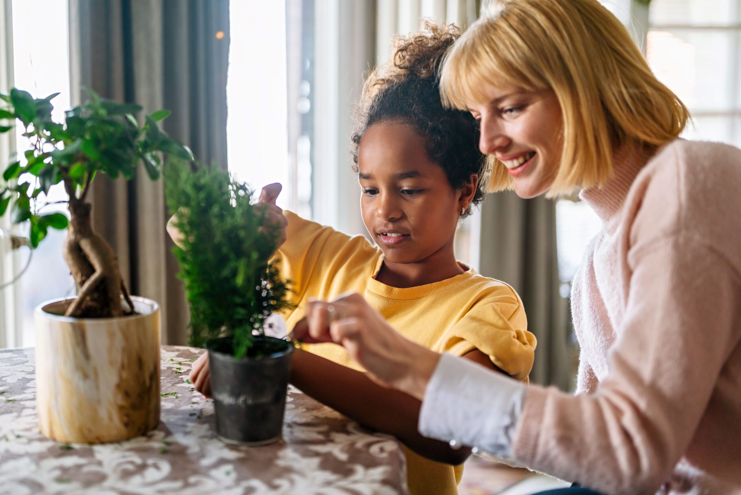 a foster carer caring for some plants with their looked after child